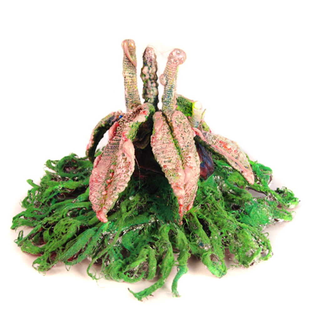 Plant