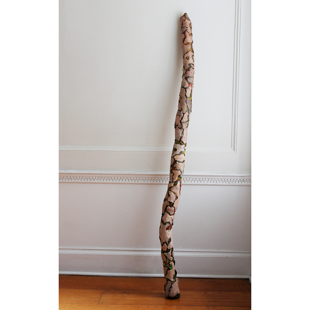 limb